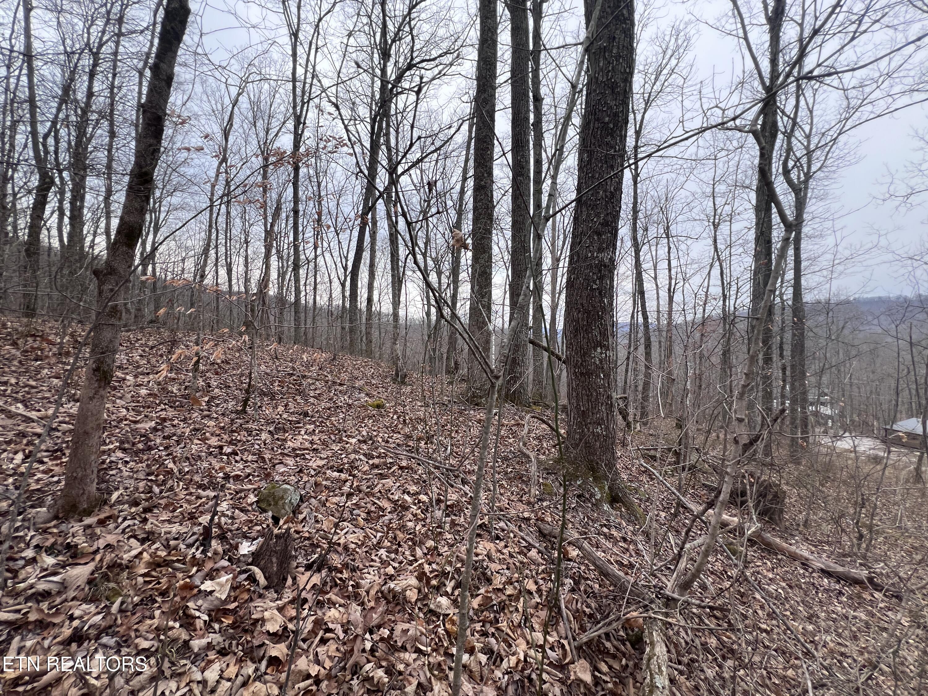 Lot 62 Apache Road Jamestown TN 38556