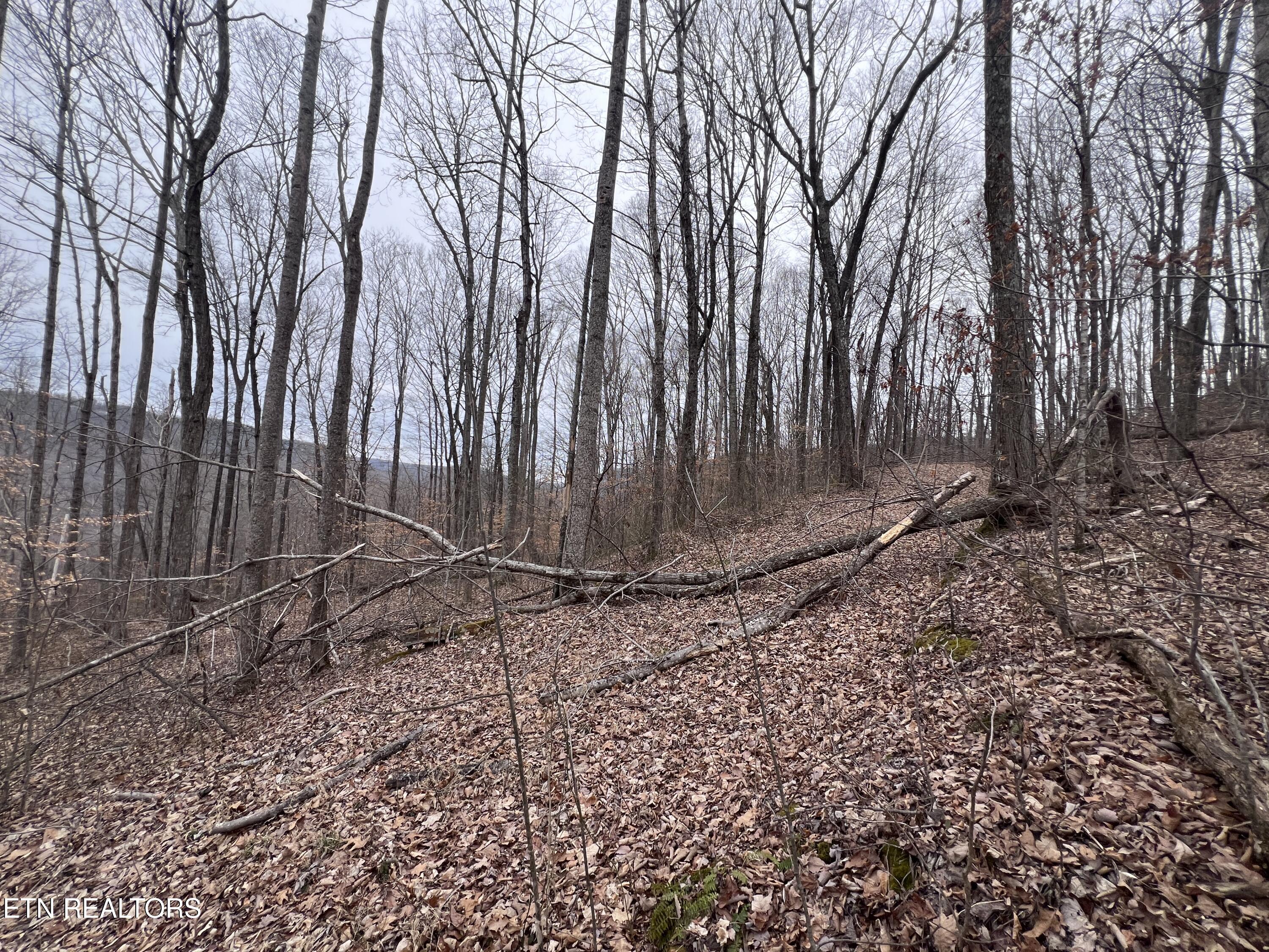 Lot 62 Apache Road Jamestown TN 38556