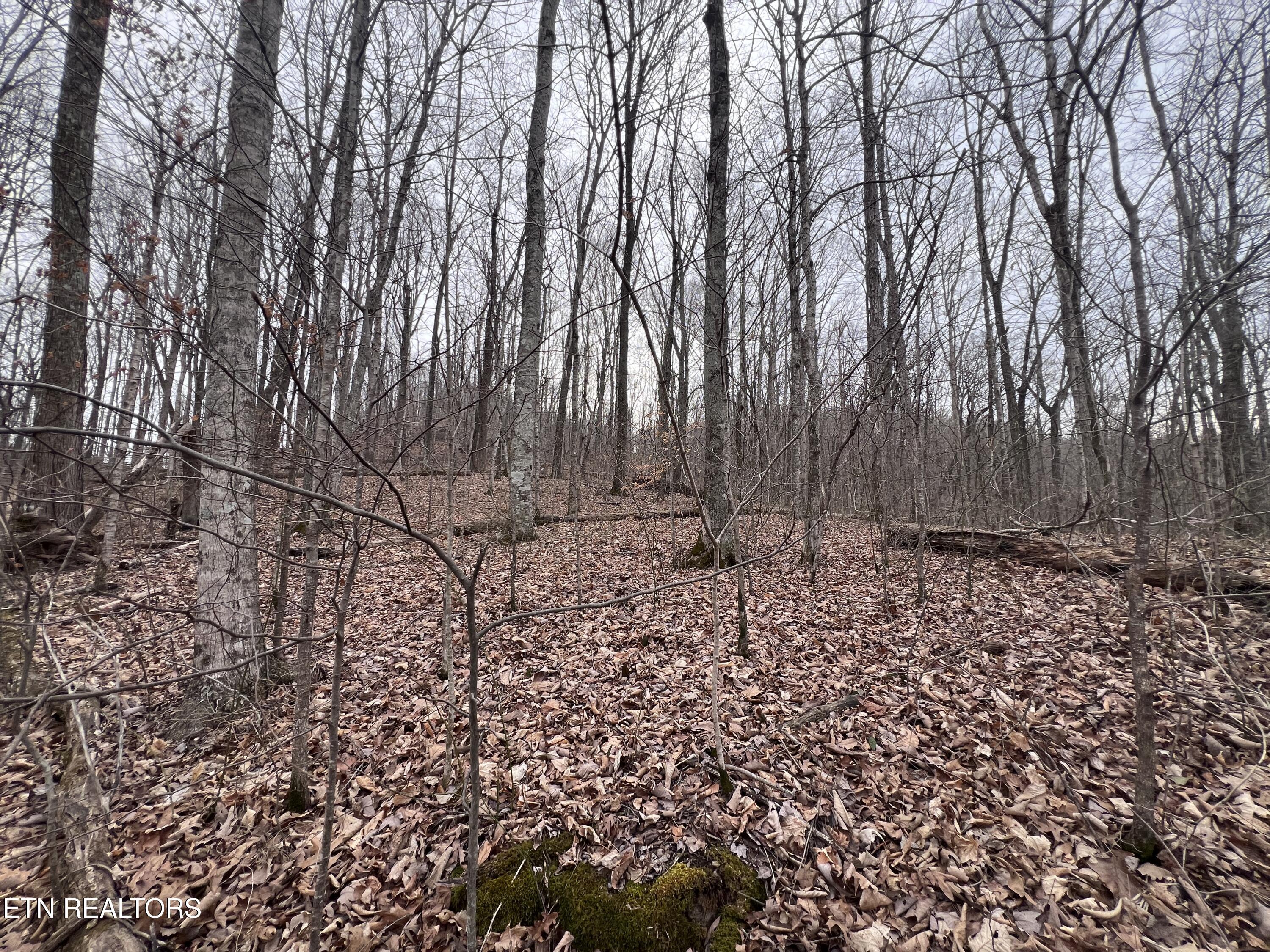 Lot 62 Apache Road Jamestown TN 38556