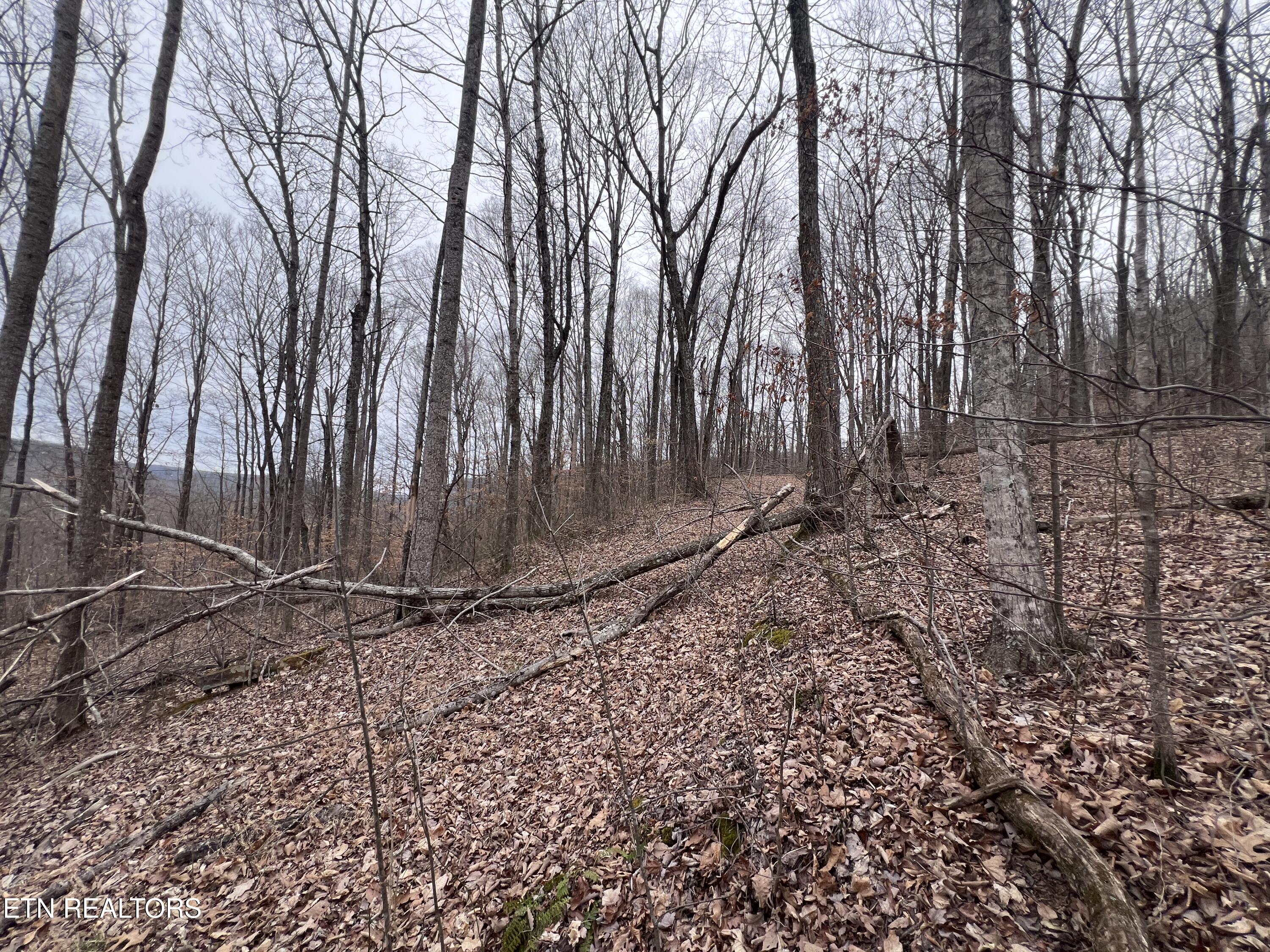 Lot 62 Apache Road Jamestown TN 38556