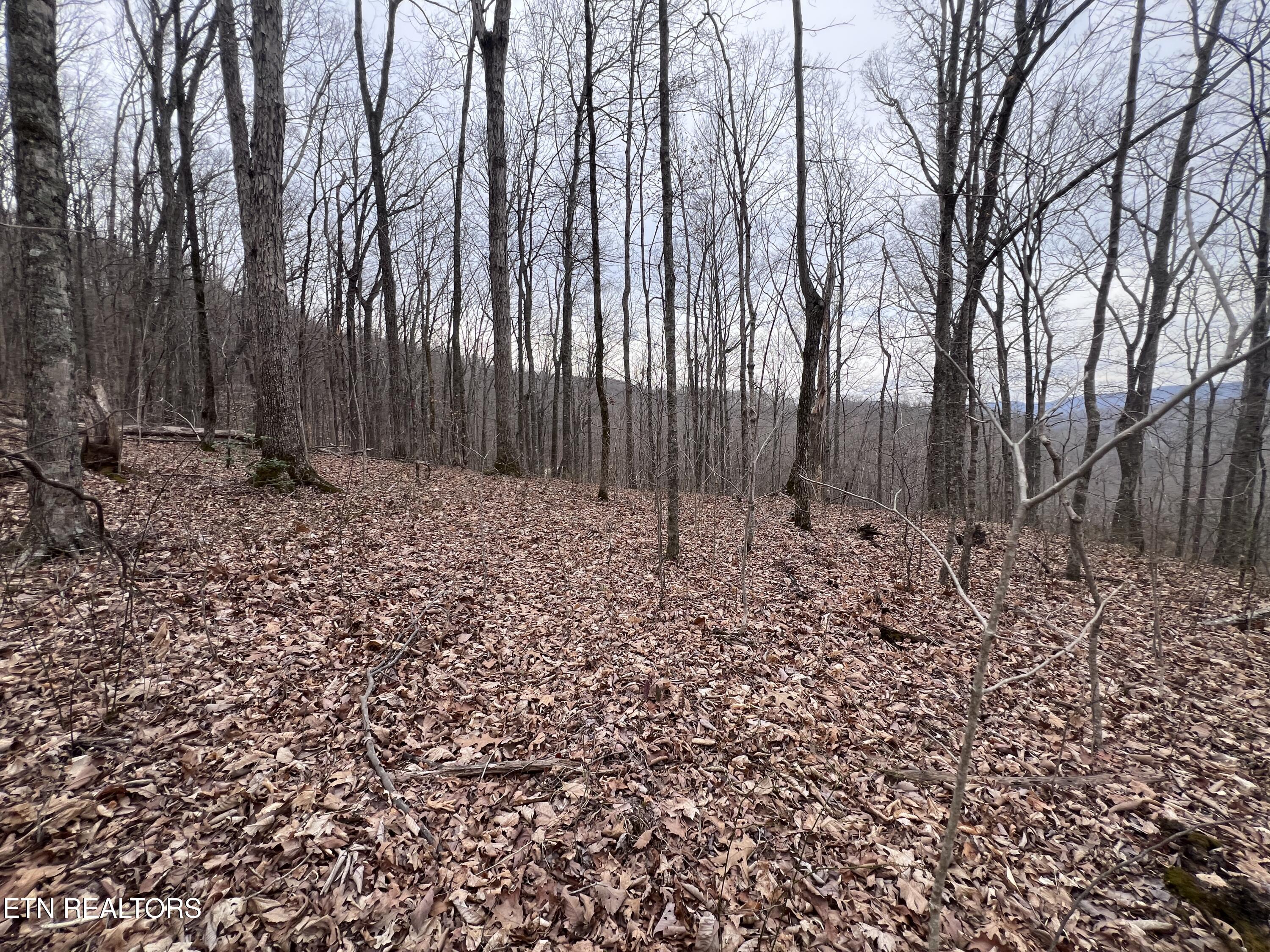 Lot 62 Apache Road Jamestown TN 38556