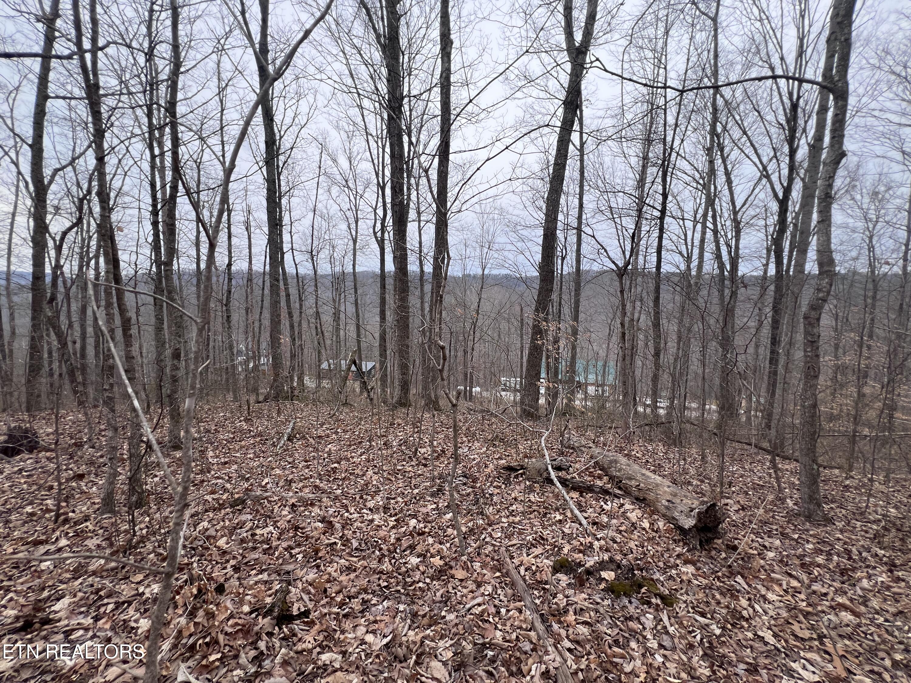 Lot 62 Apache Road Jamestown TN 38556