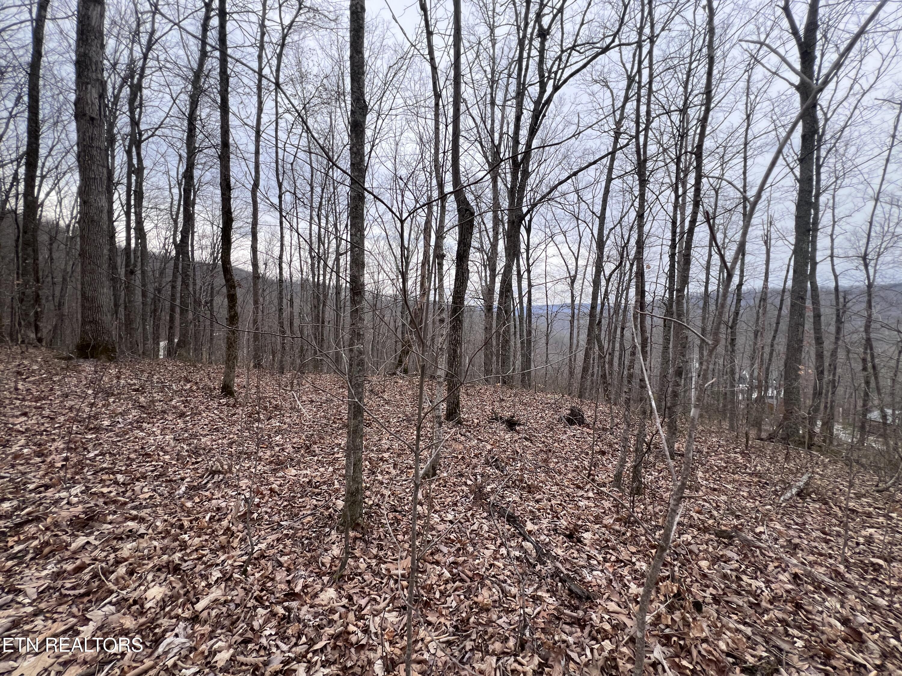 Lot 62 Apache Road Jamestown TN 38556