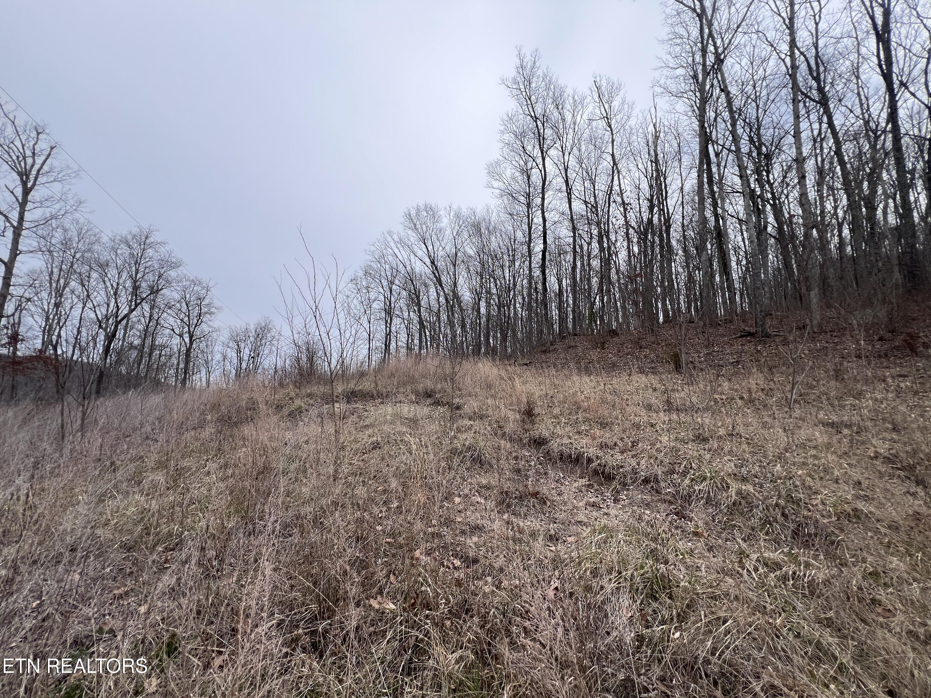 Lot 62 Apache Road Jamestown TN 38556