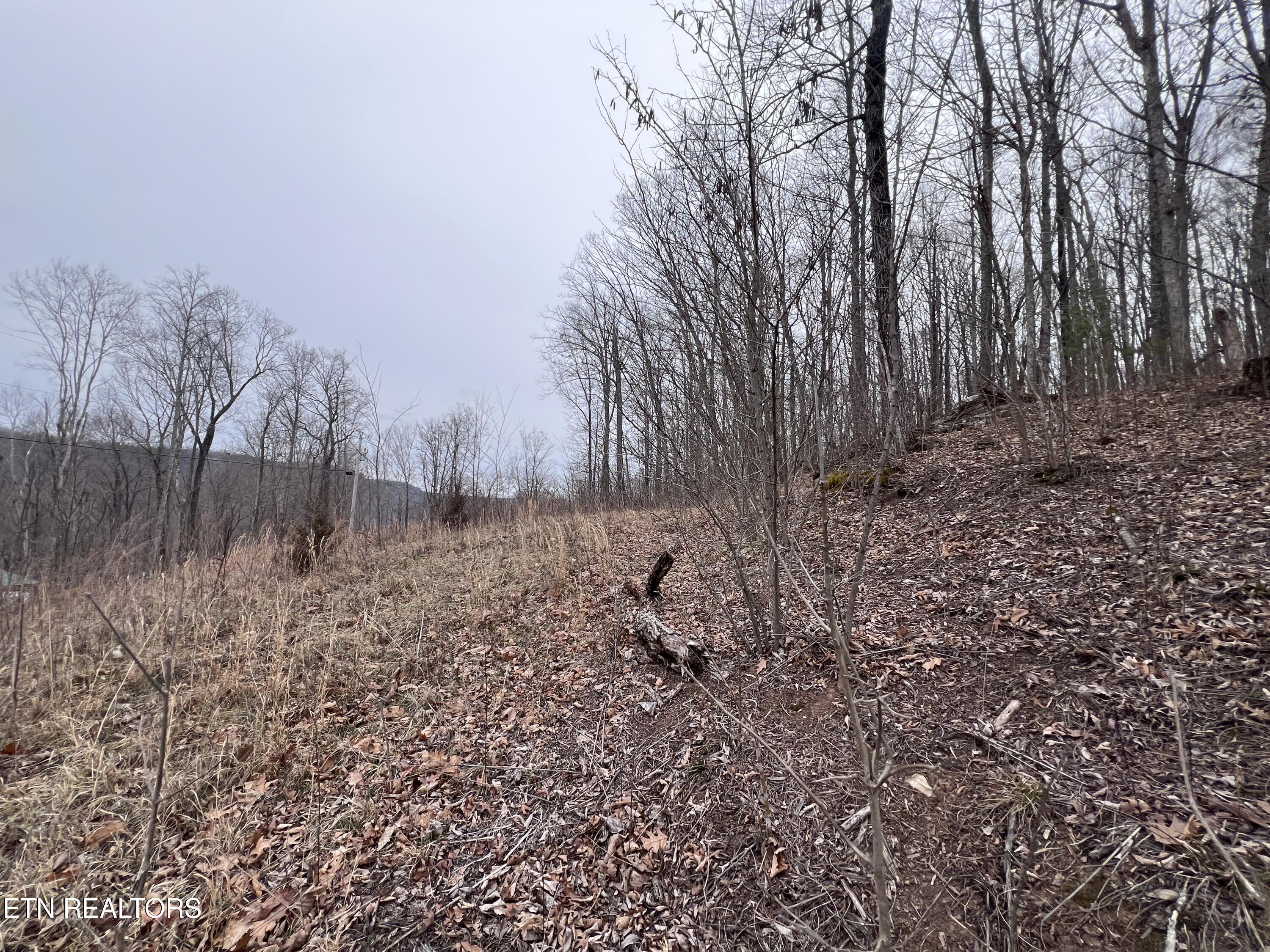 Lot 62 Apache Road Jamestown TN 38556