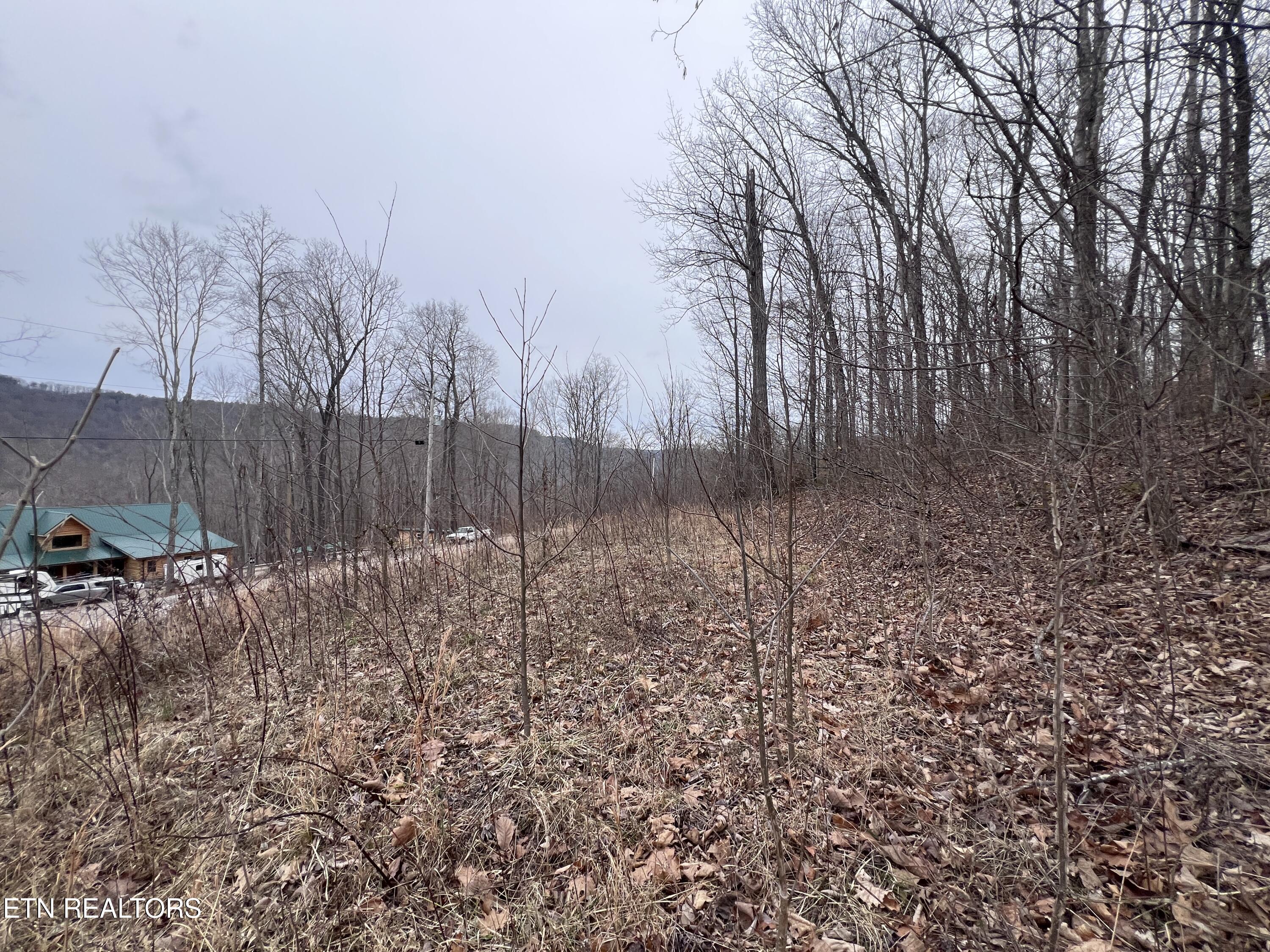 Lot 62 Apache Road Jamestown TN 38556