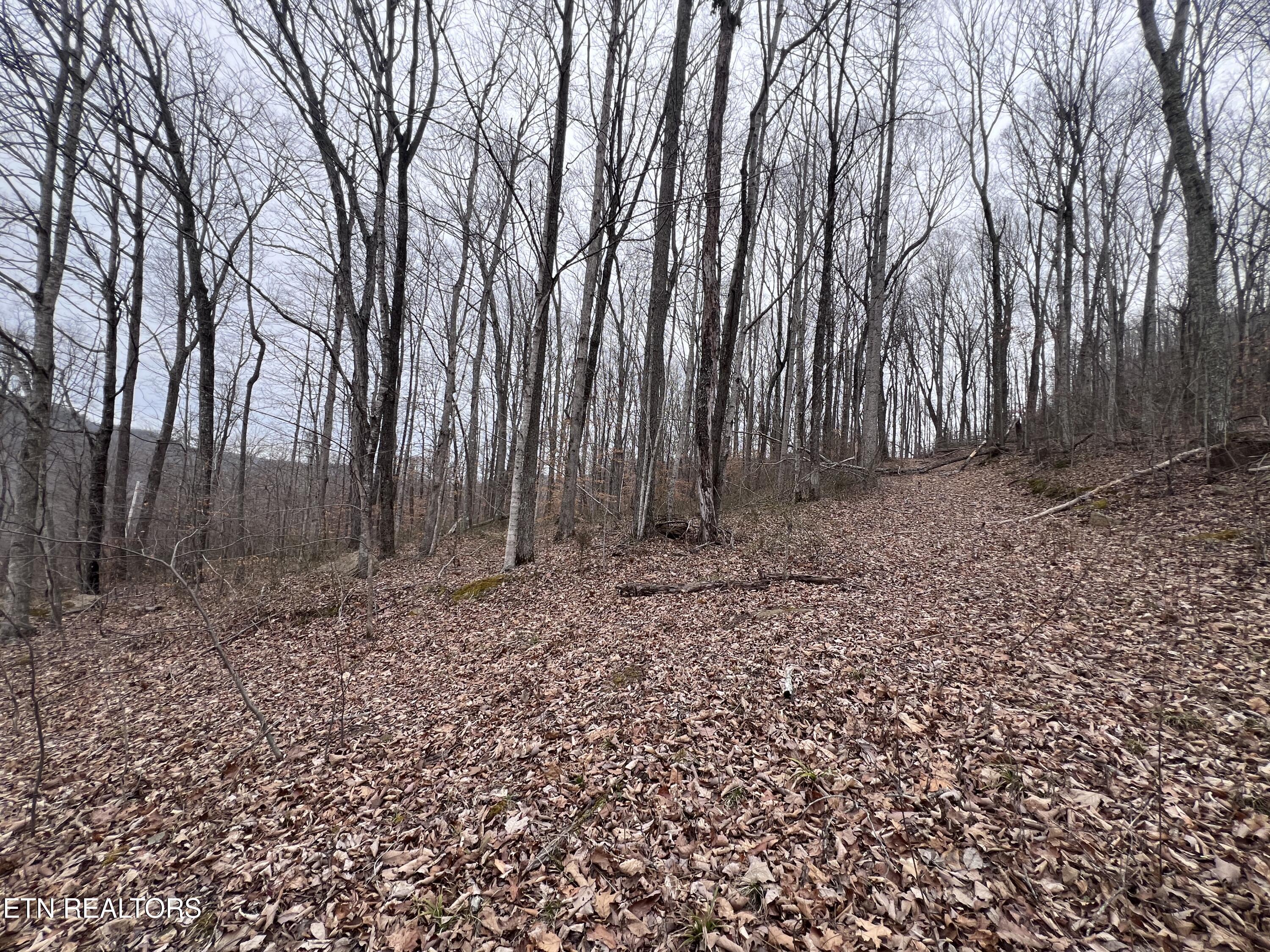 Lot 62 Apache Road Jamestown TN 38556