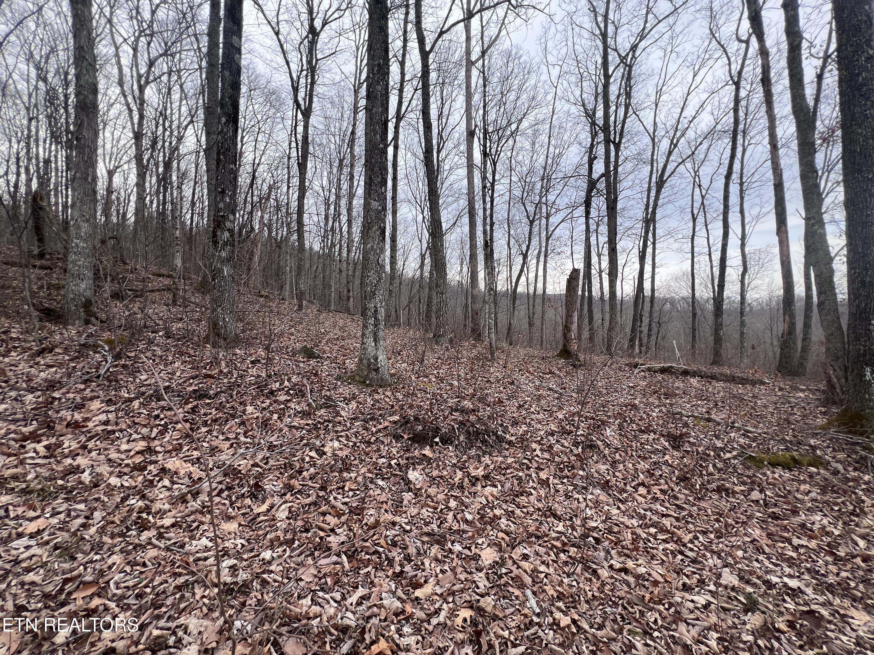 Lot 62 Apache Road Jamestown TN 38556