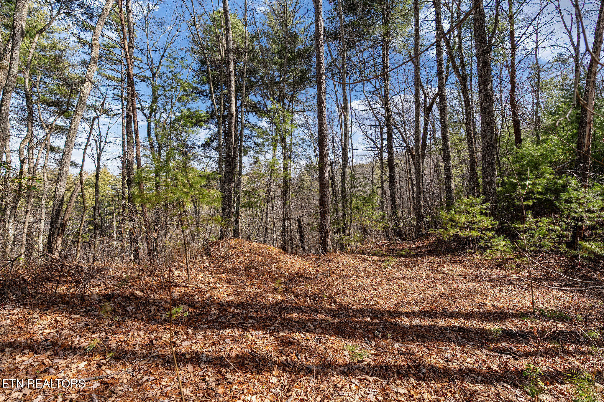Lot 12 Paint Horse Way Sevierville TN 37876
