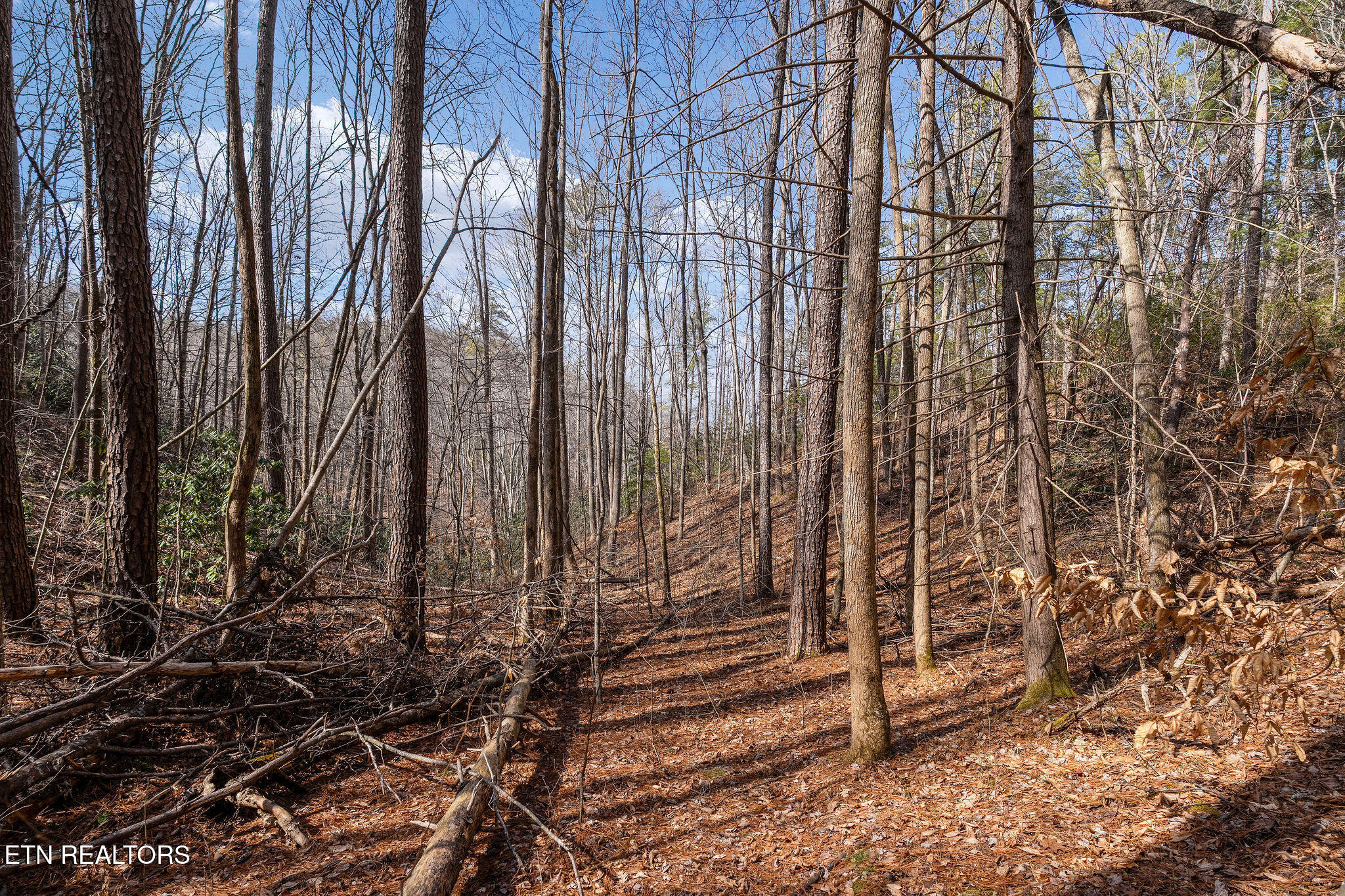 Lot 12 Paint Horse Way Sevierville TN 37876