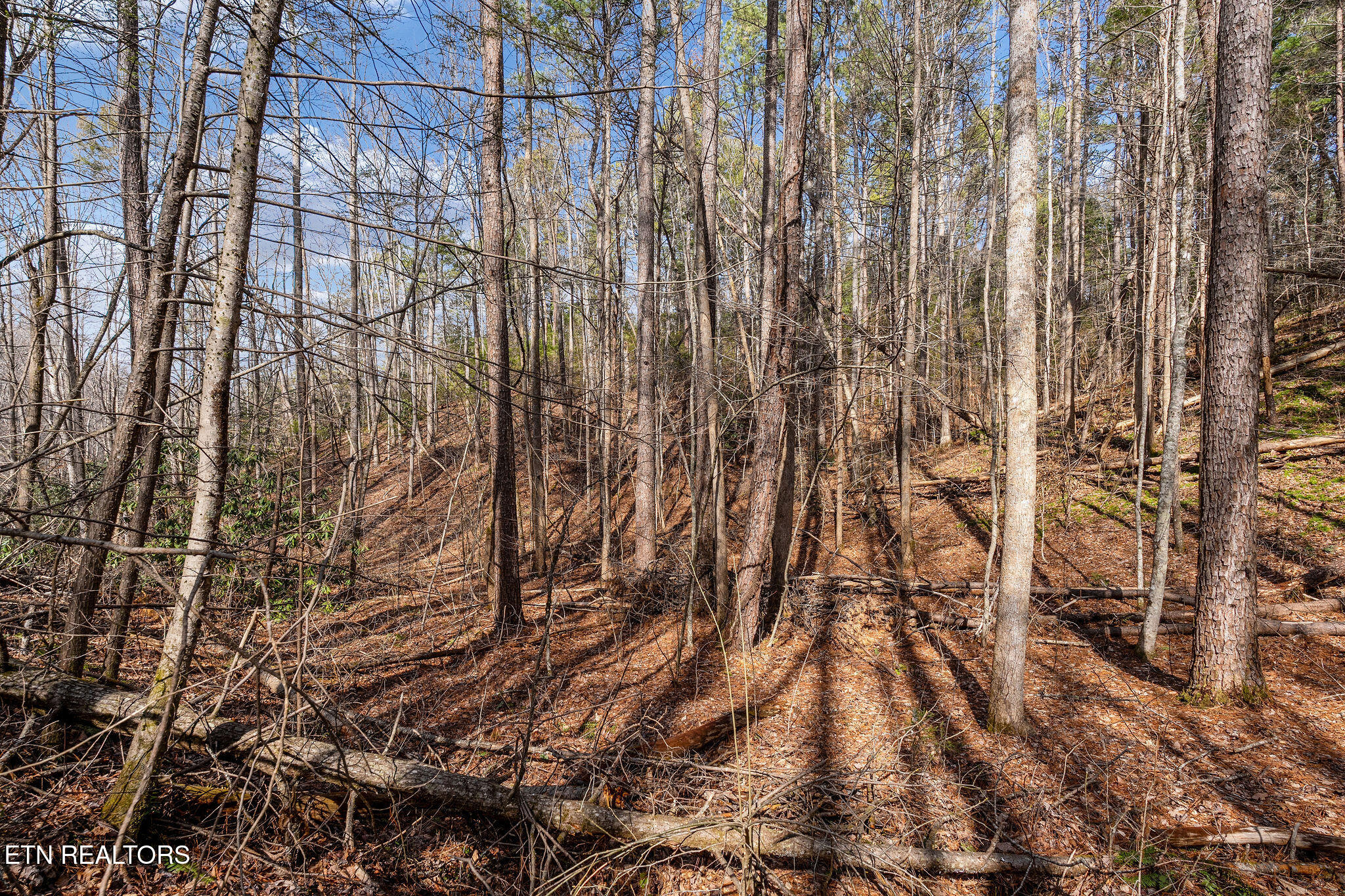 Lot 12 Paint Horse Way Sevierville TN 37876