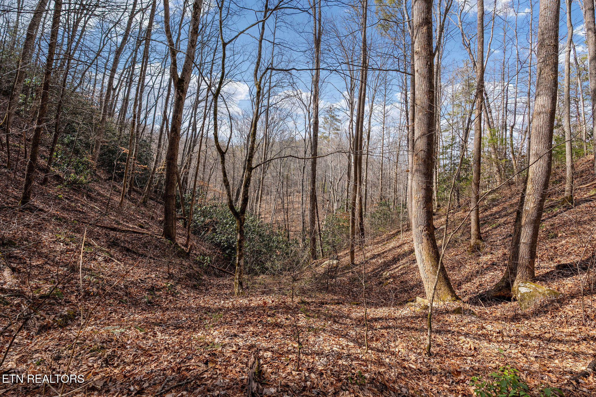 Lot 12 Paint Horse Way Sevierville TN 37876