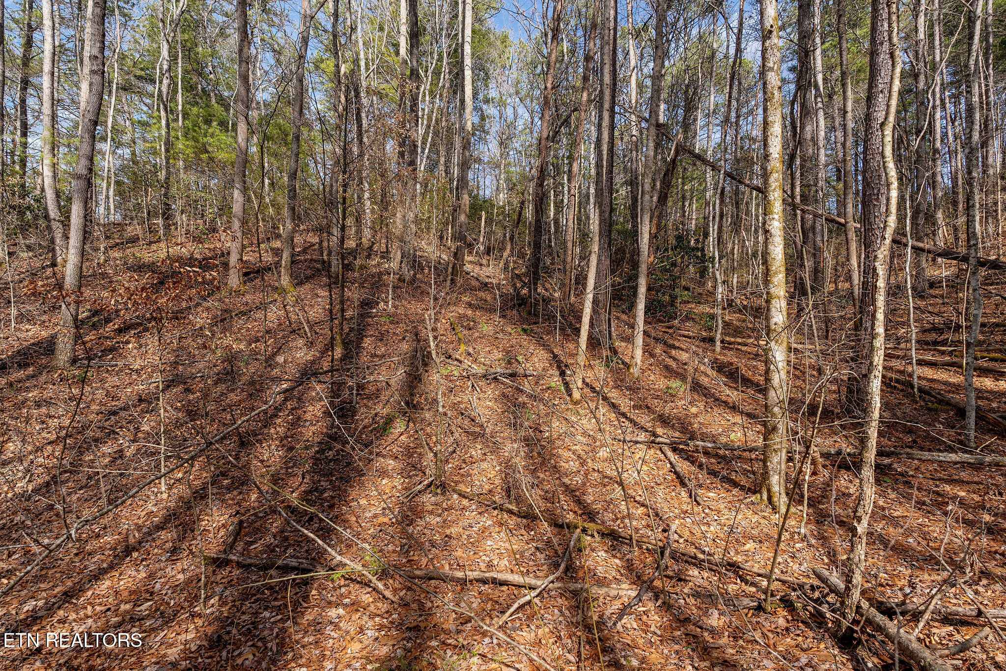 Lot 12 Paint Horse Way Sevierville TN 37876
