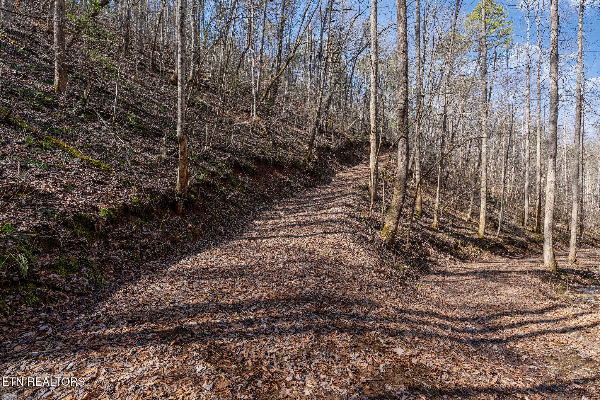 Lot 12 Paint Horse Way Sevierville TN 37876