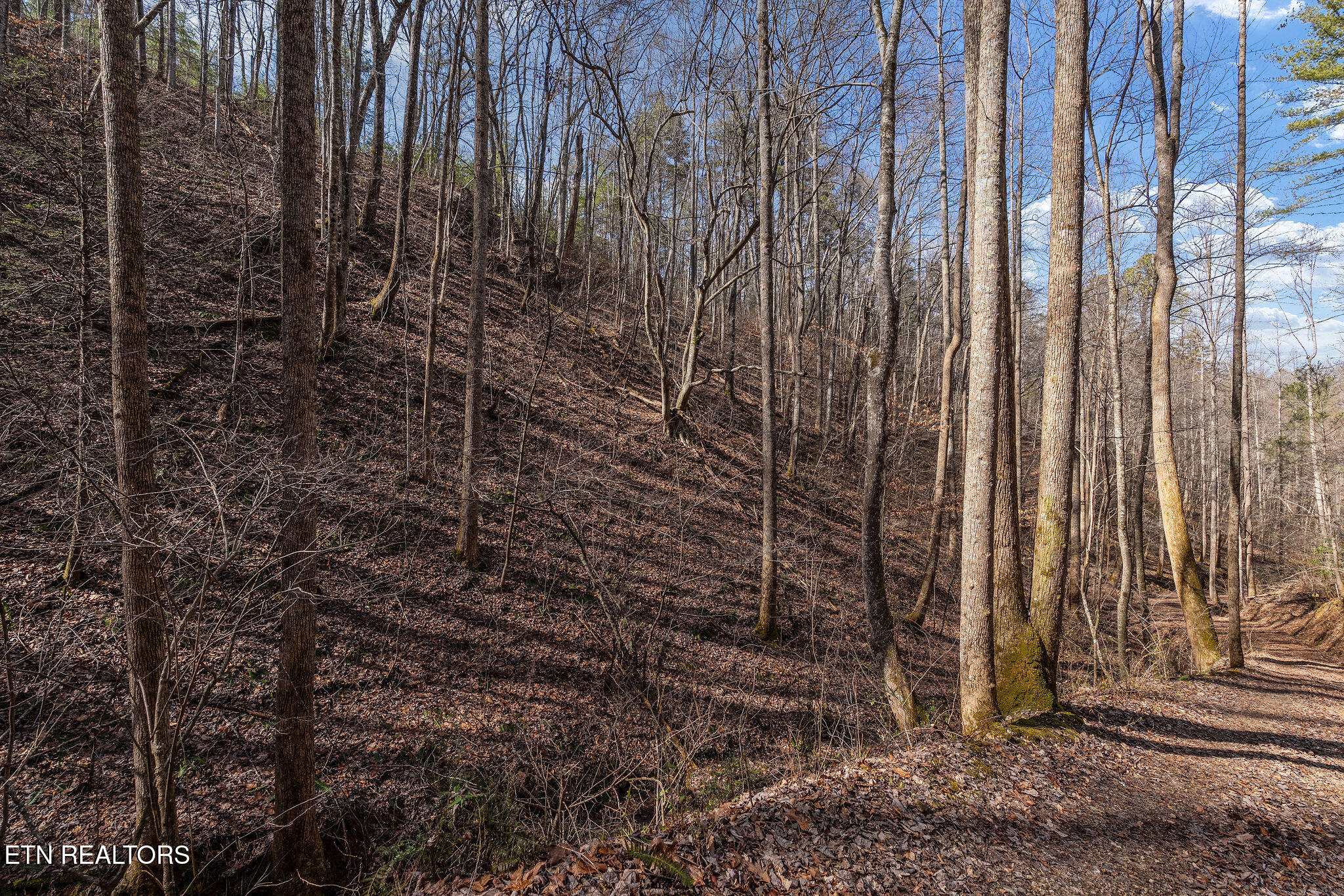 Lot 12 Paint Horse Way Sevierville TN 37876