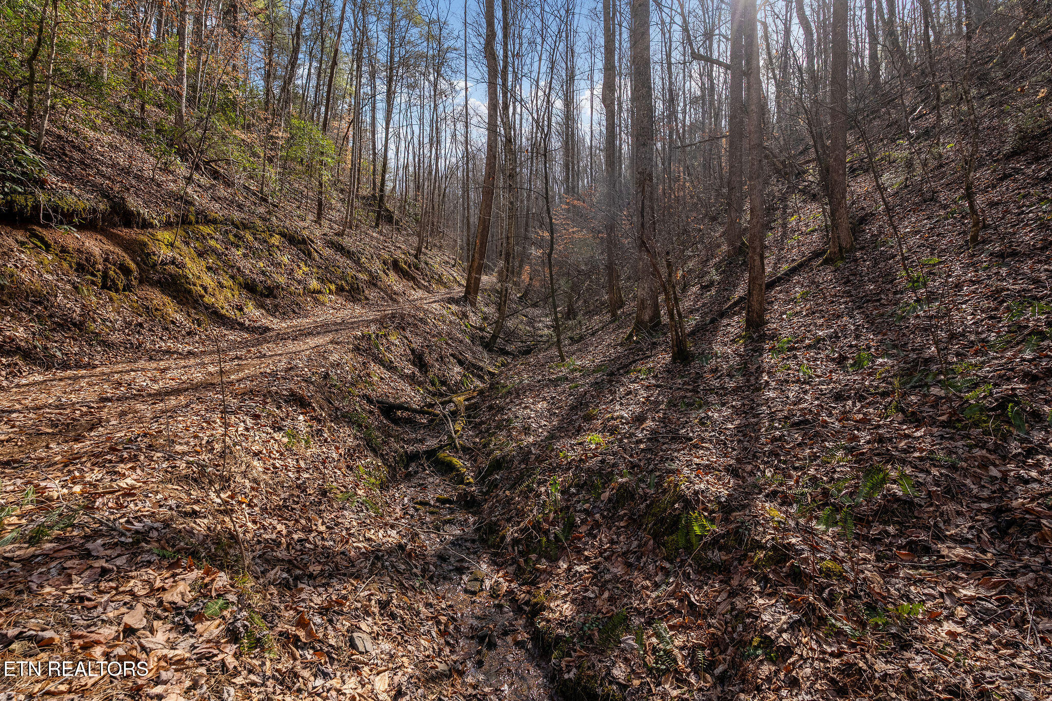 Lot 12 Paint Horse Way Sevierville TN 37876