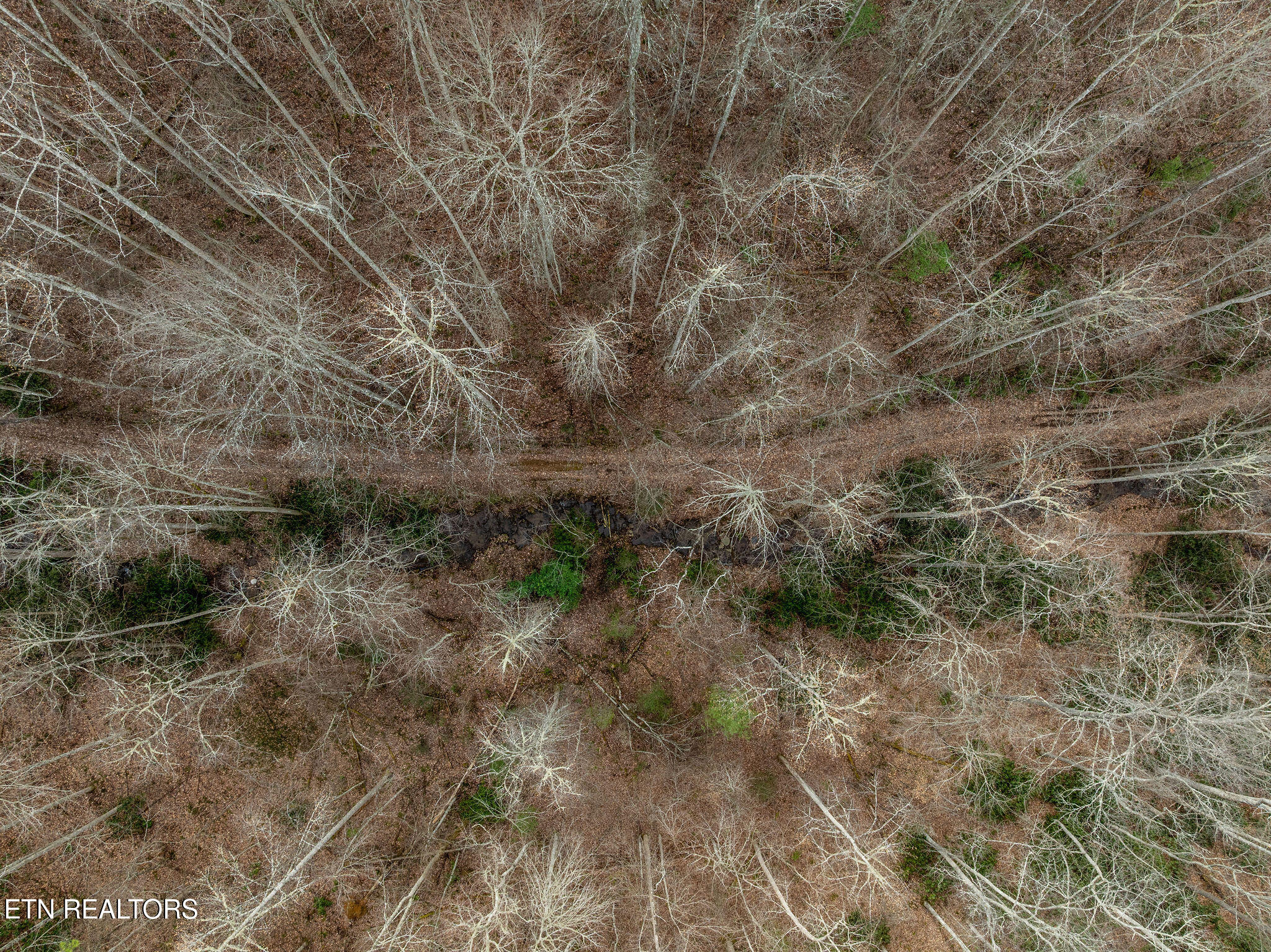 Lot 12 Paint Horse Way Sevierville TN 37876