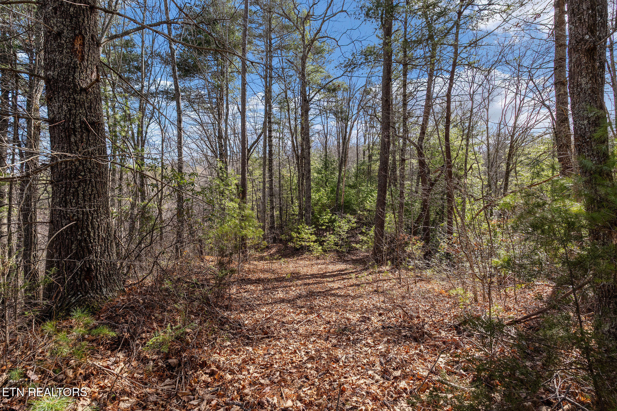 Lot 12 Paint Horse Way Sevierville TN 37876