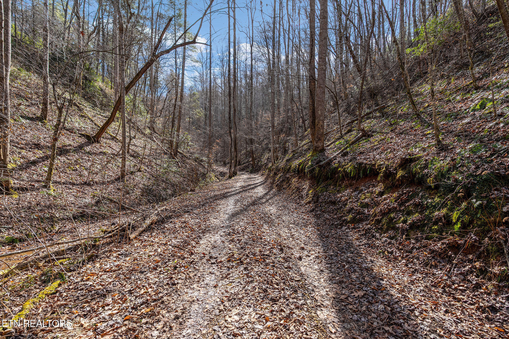Lot 12 Paint Horse Way Sevierville TN 37876