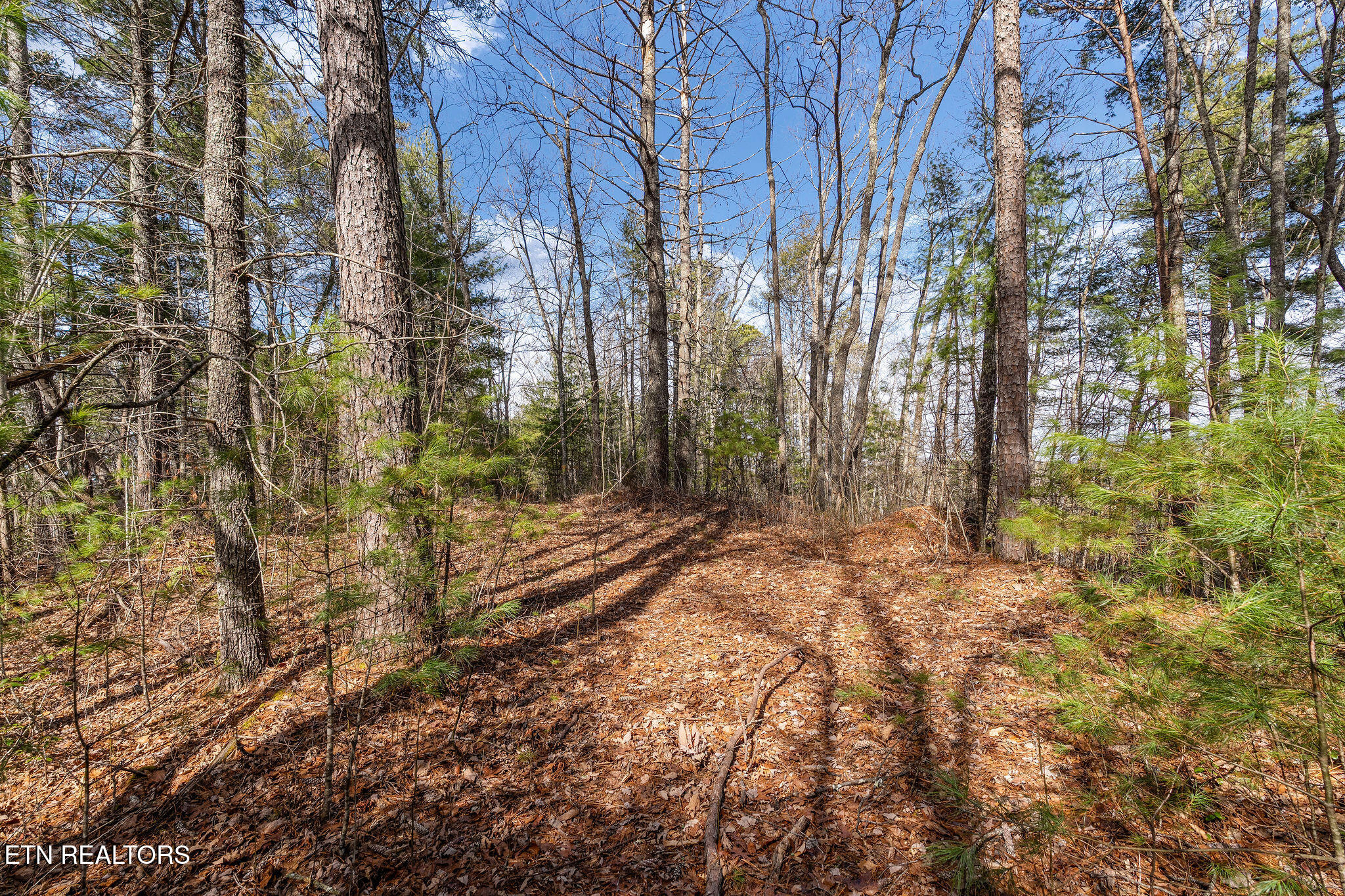 Lot 12 Paint Horse Way Sevierville TN 37876