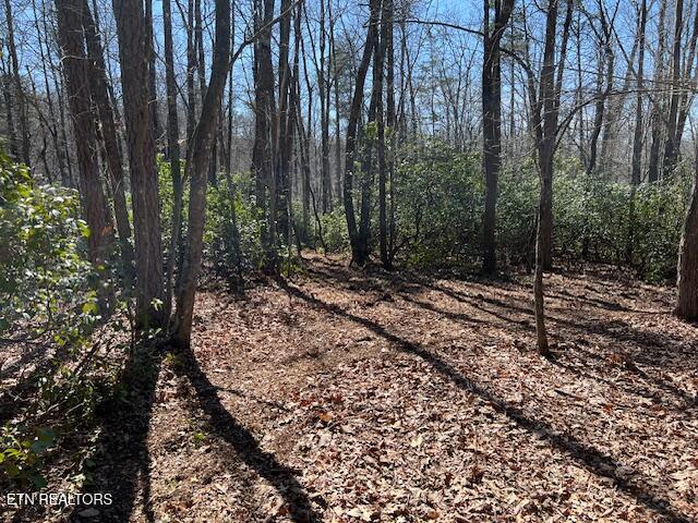 Cliff Park Road Monterey TN 38574