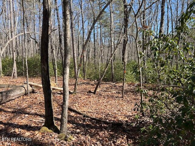 Cliff Park Road Monterey TN 38574