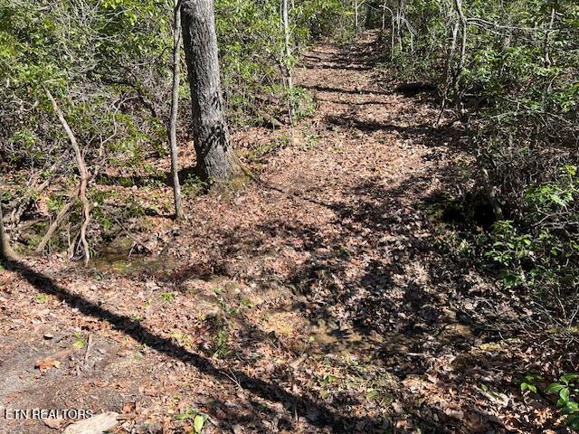 Cliff Park Road Monterey TN 38574