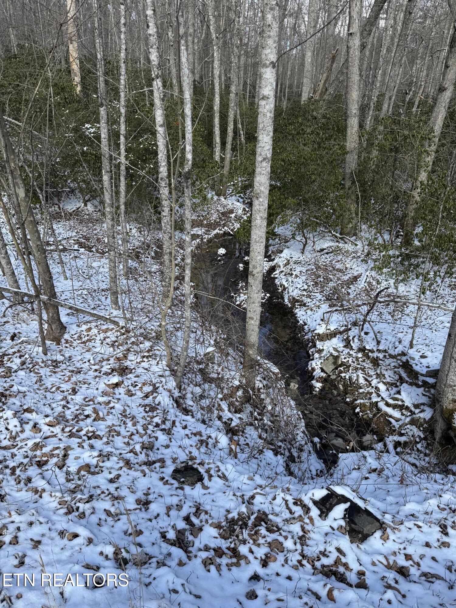 Cliff Park Road Monterey TN 38574