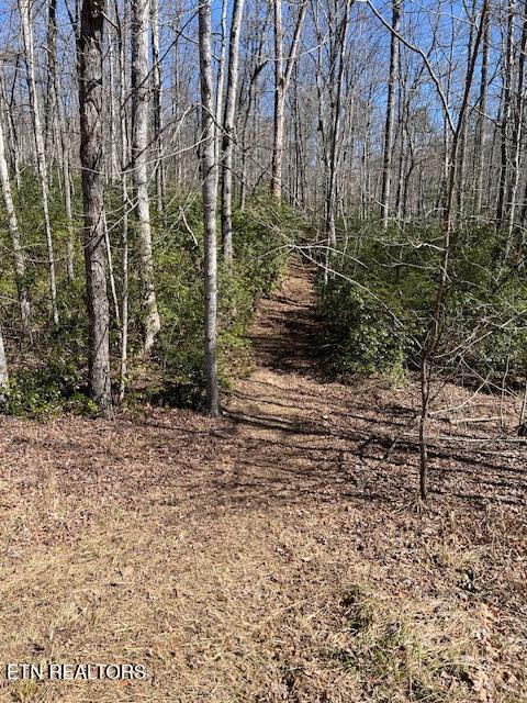 Cliff Park Road Monterey TN 38574