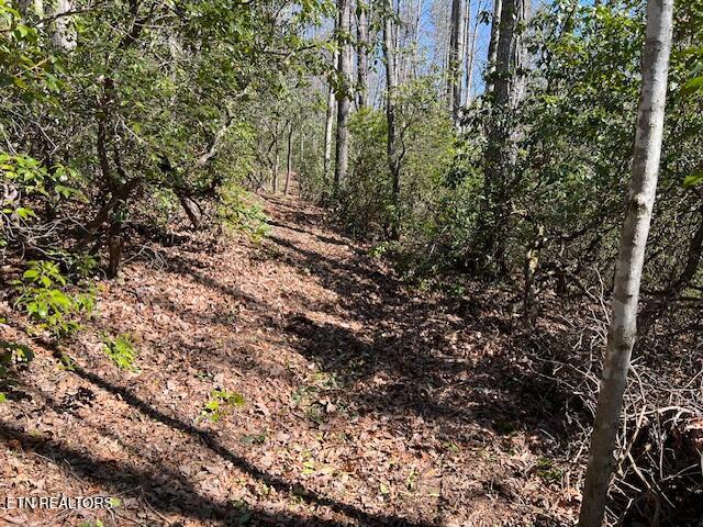 Cliff Park Road Monterey TN 38574