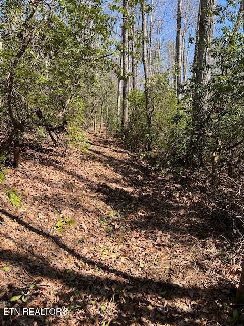 Cliff Park Road Monterey TN 38574