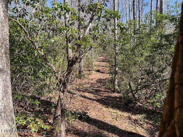 Cliff Park Road Monterey TN 38574