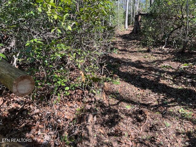 Cliff Park Road Monterey TN 38574