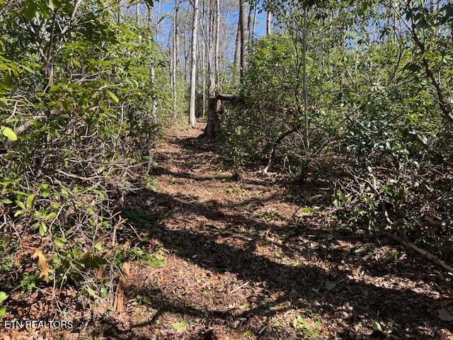 Cliff Park Road Monterey TN 38574
