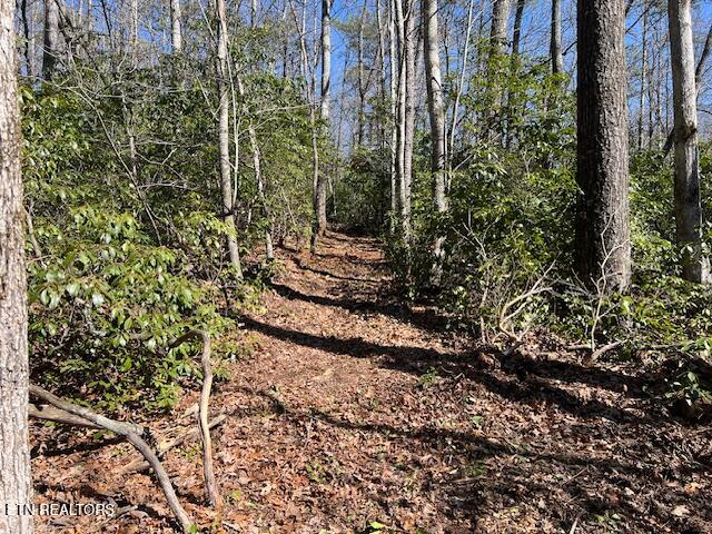 Cliff Park Road Monterey TN 38574