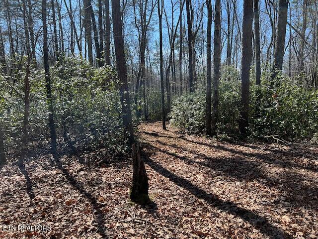 Cliff Park Road Monterey TN 38574