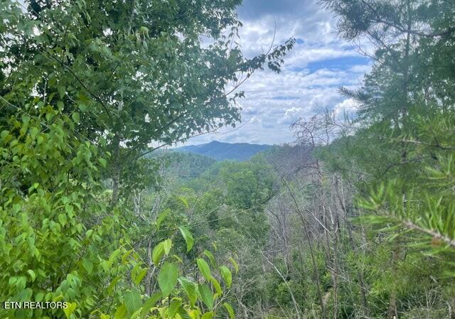 Lot 4 River Birch Way Sevierville TN 37862