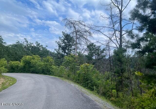 Lot 4 River Birch Way Sevierville TN 37862