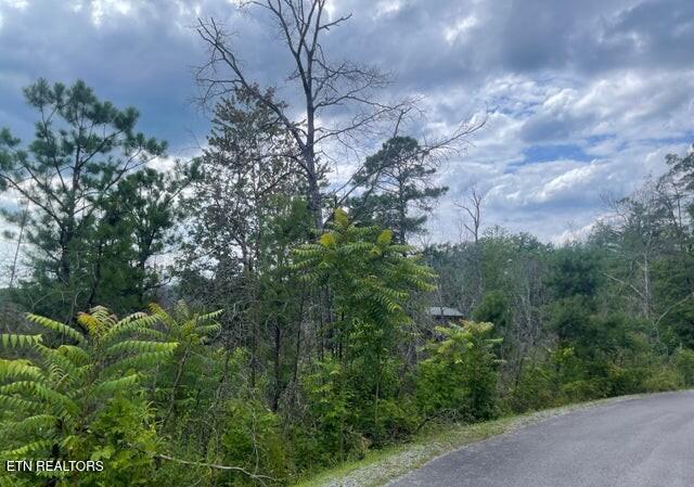 Lot 4 River Birch Way Sevierville TN 37862