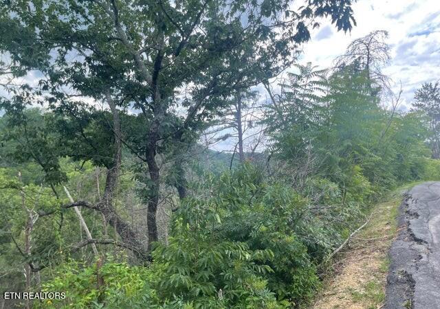 Lot 4 River Birch Way Sevierville TN 37862