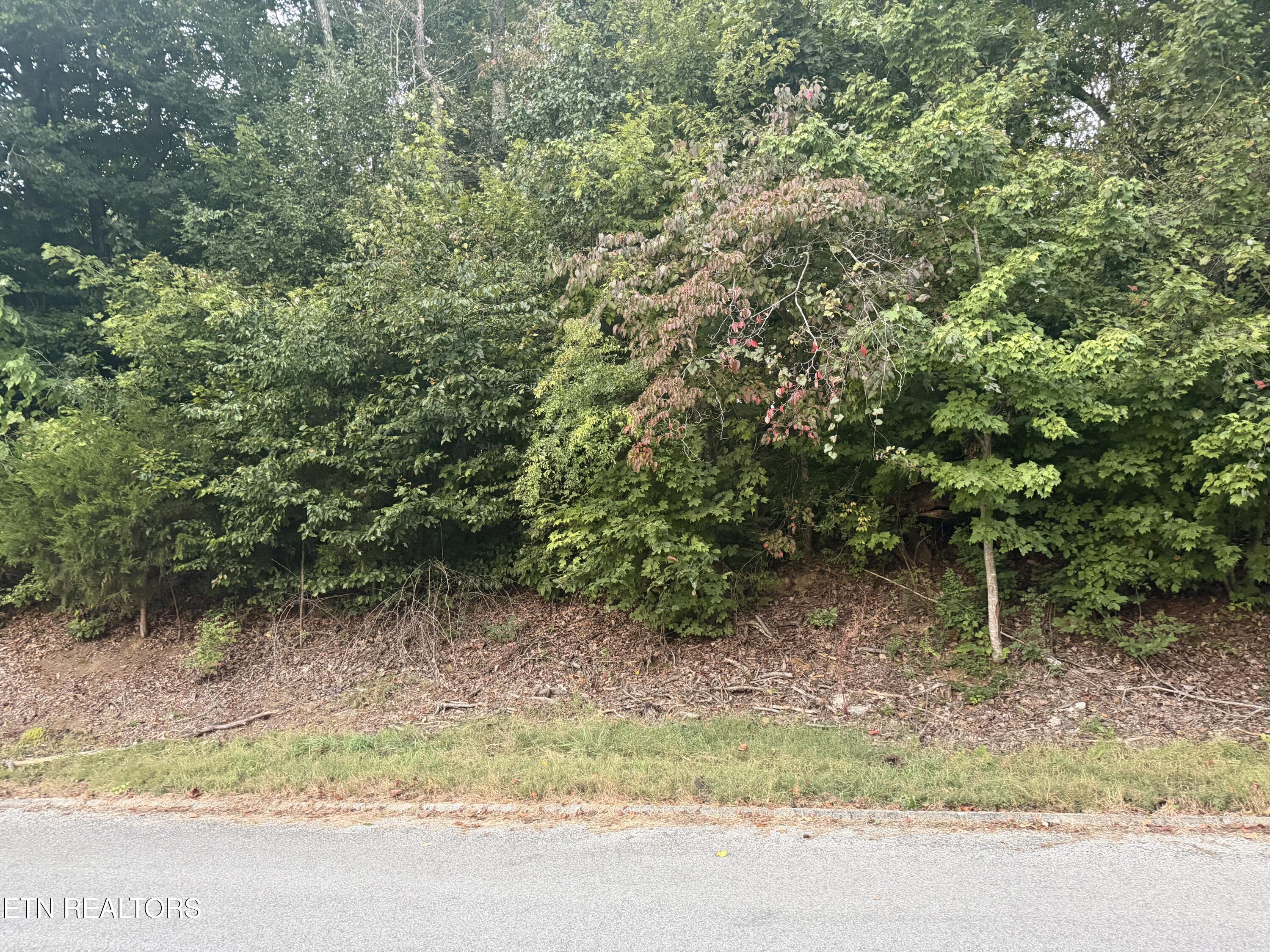 Indian Hills Circle Clinton TN 37716