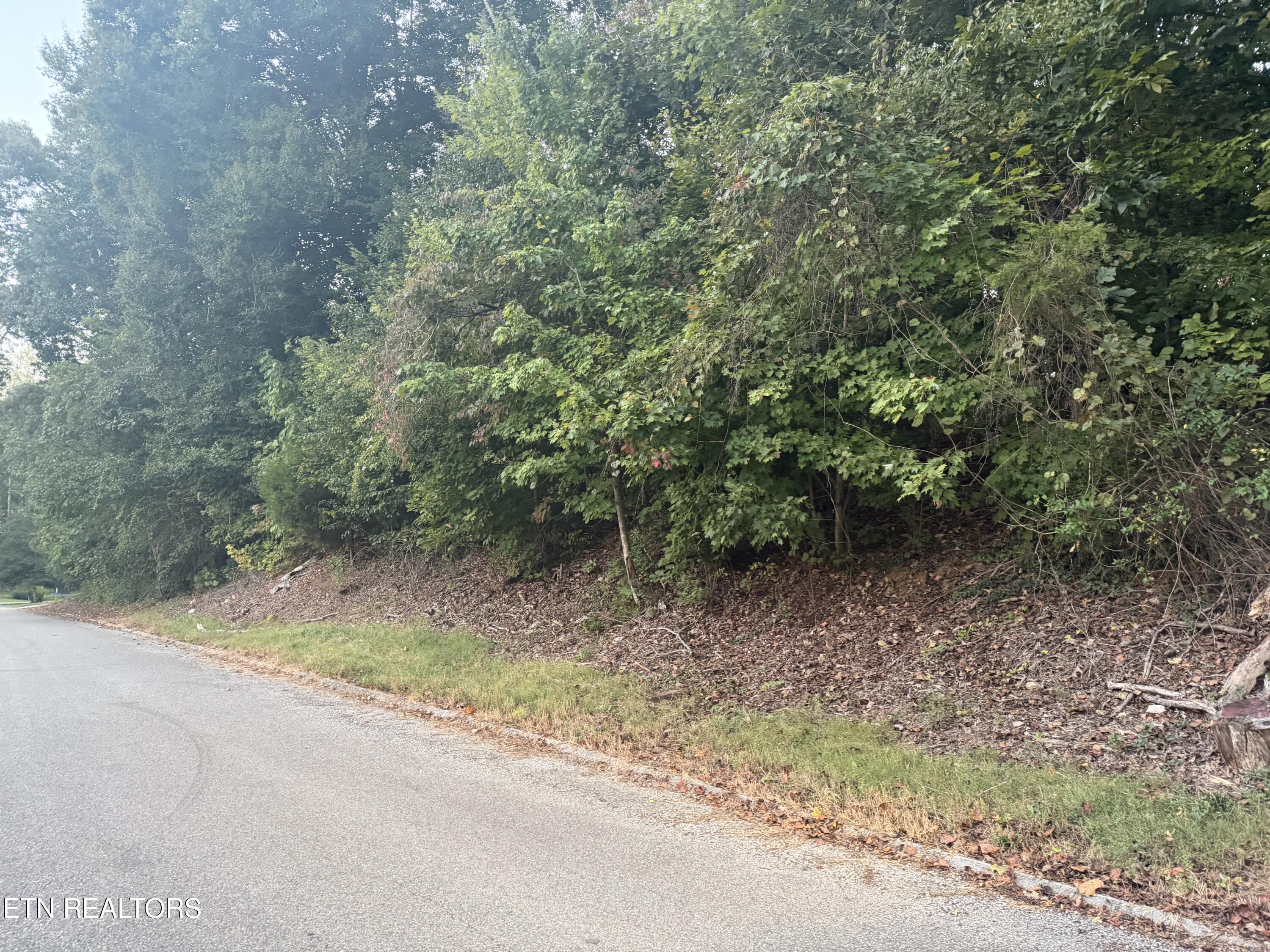 Indian Hills Circle Clinton TN 37716