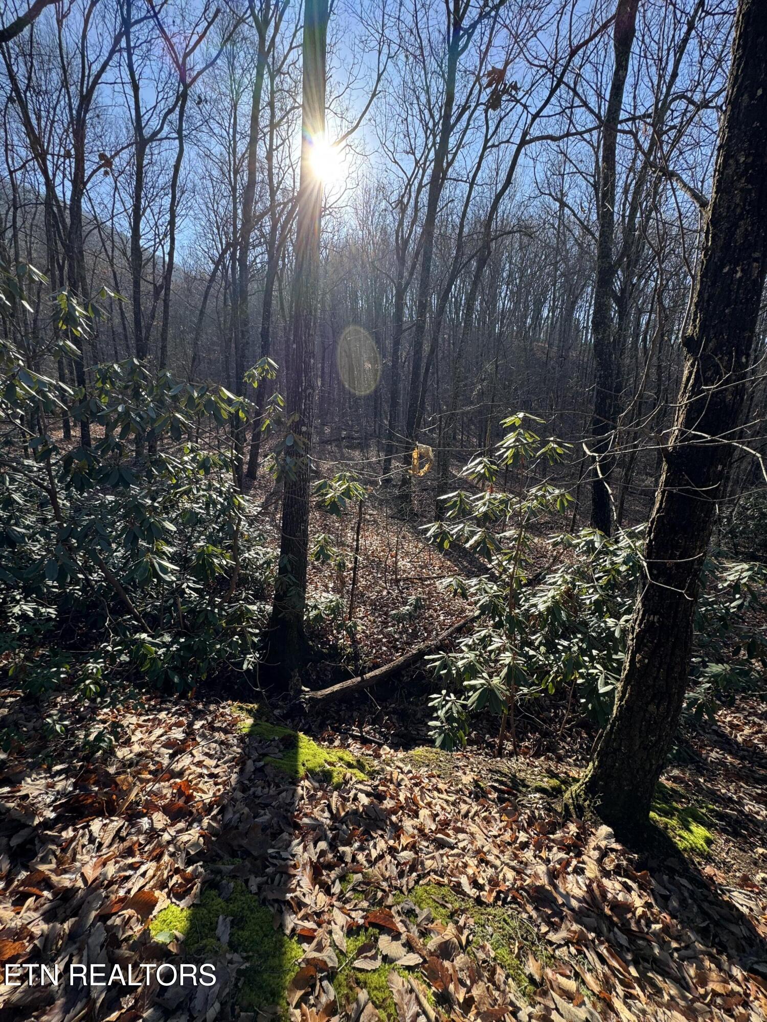3766 Eagle Ridge Road Maryville TN 37803