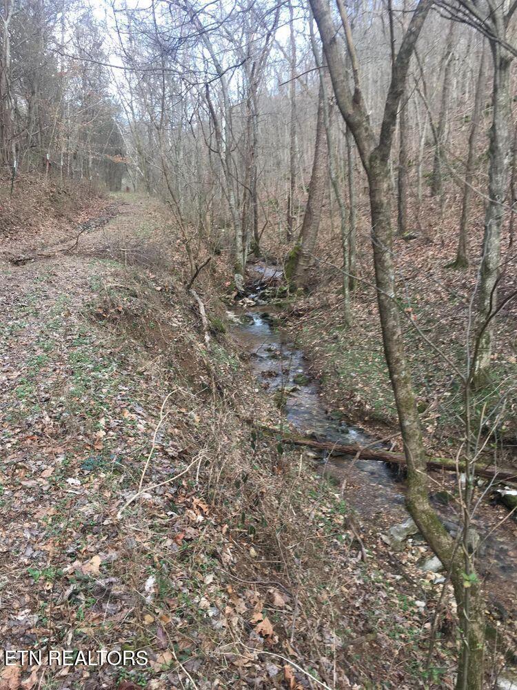 0 Shiloh Church Road Woodbury TN 37190