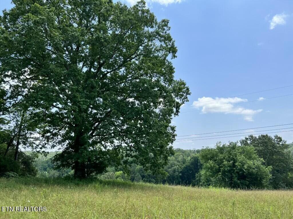 0 Donaldson Light Lane Lenoir City TN 37772
