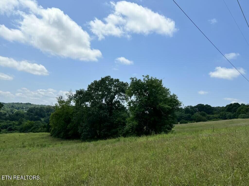 0 Donaldson Light Lane Lenoir City TN 37772