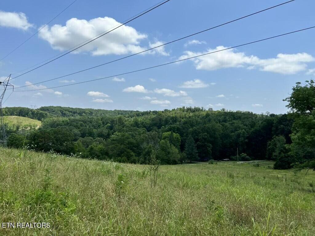 0 Donaldson Light Lane Lenoir City TN 37772