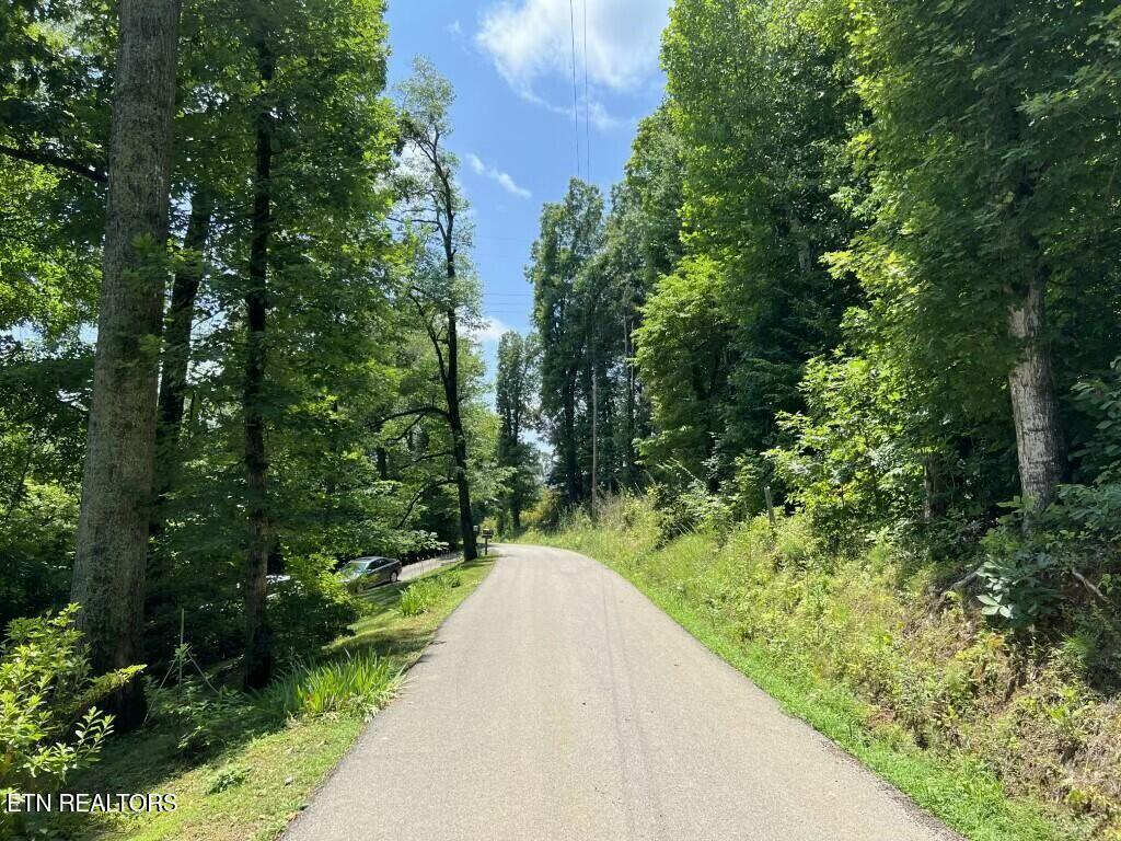 0 Donaldson Light Lane Lenoir City TN 37772