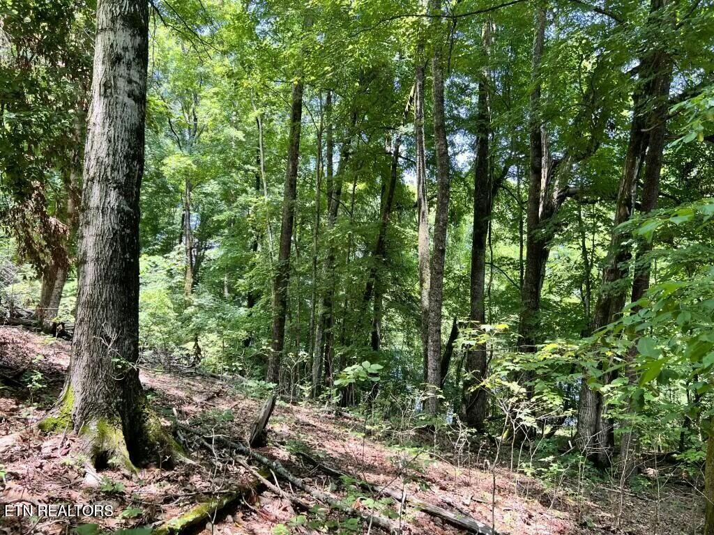 0 Donaldson Light Lane Lenoir City TN 37772