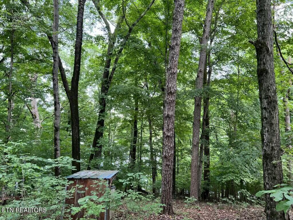 0 Donaldson Light Lane Lenoir City TN 37772